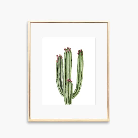Watercolor Cactus Green Columnar Tall Pink Buds Botanical Poster