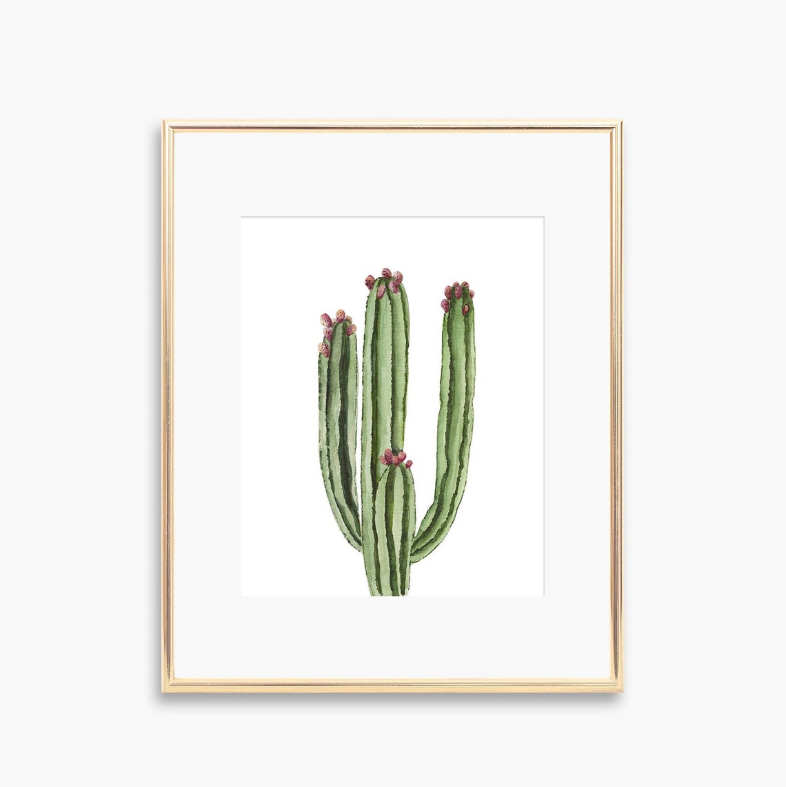 Watercolor Cactus Green Columnar Tall Pink Buds Botanical Poster
