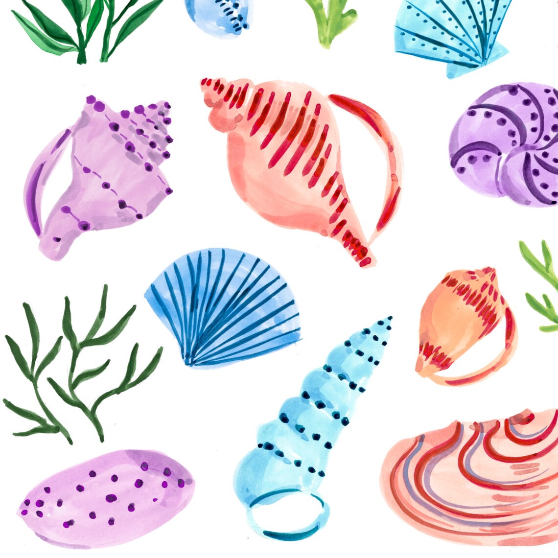 Seashells Art Print, Sabina Fenn Illustration - Image 2