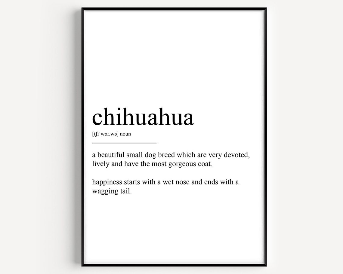 Chihuahua Dictionary Definition Dog Breed Wet Nose Wagging Tail Poster