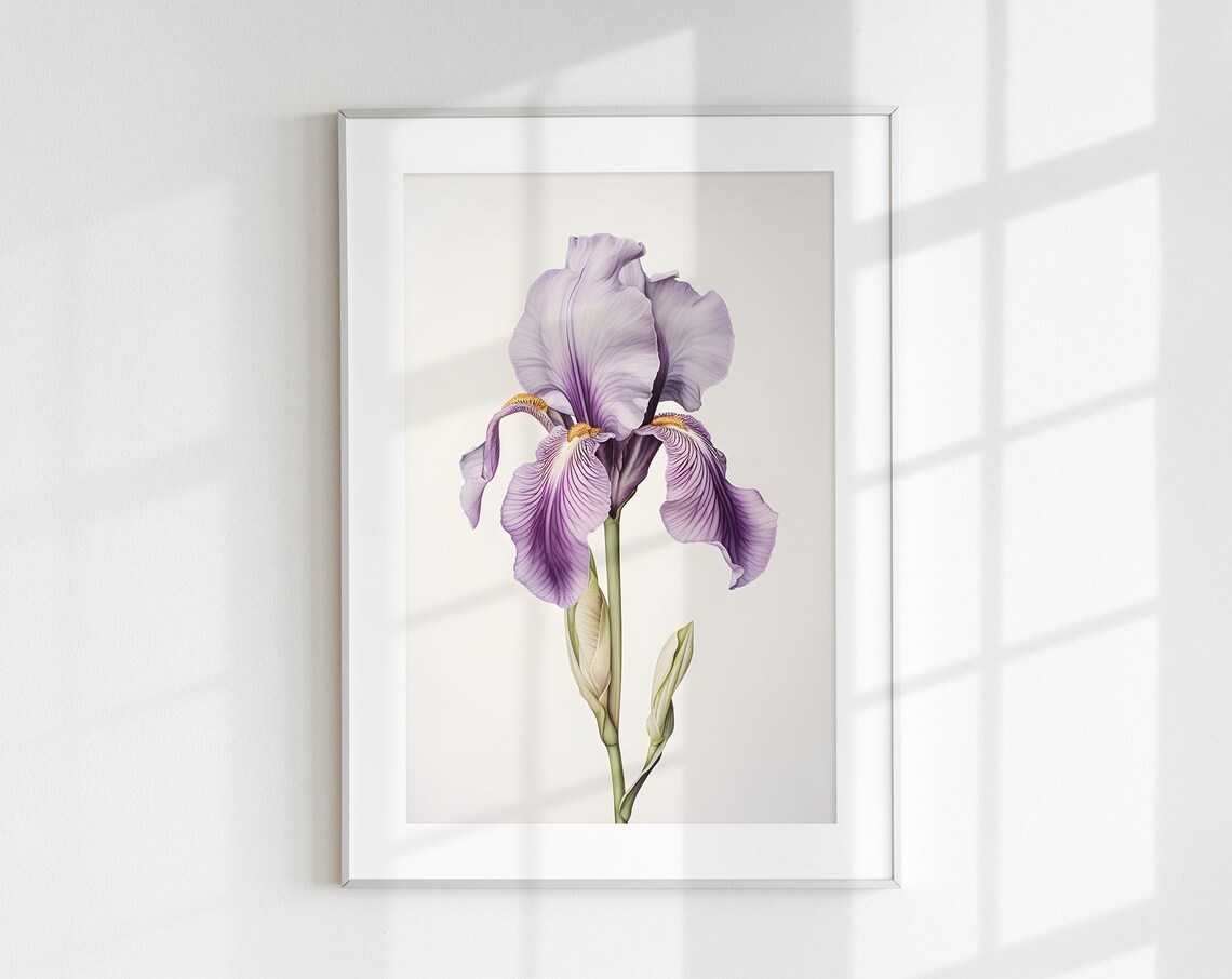 Iris Botanical Vintage Poster, Floral Wall Art