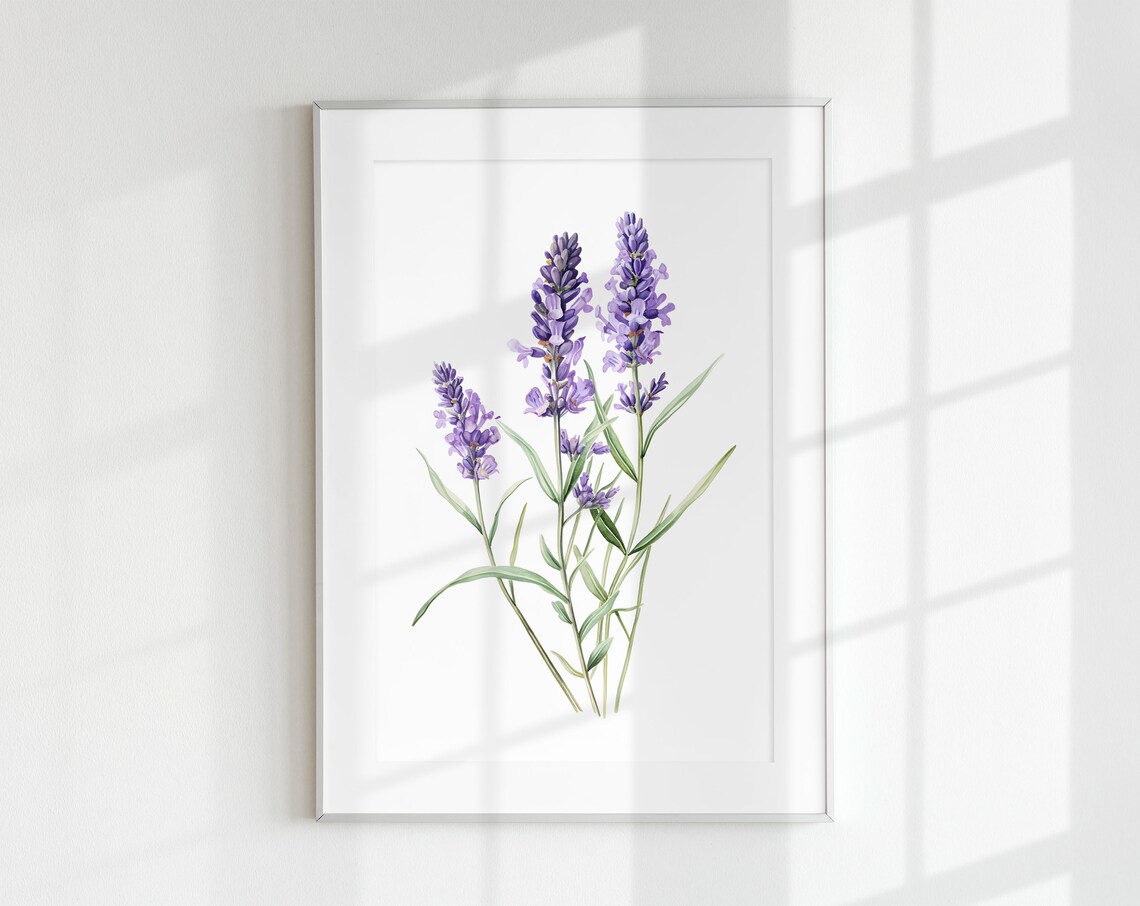 Lavender Wall Art, Purple Flower Botanical Poster