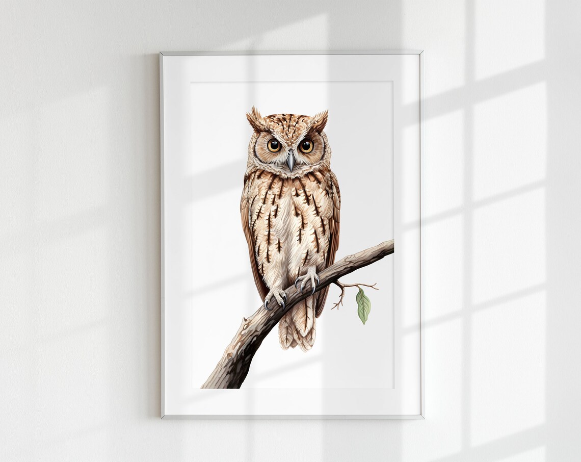 Potoo Print, Botanical Guide Bird Poster