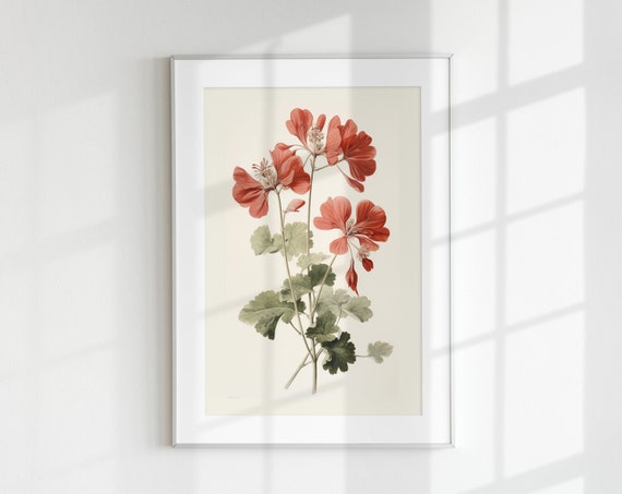 Geranium Botanical Vintage Art Print, Floral Study