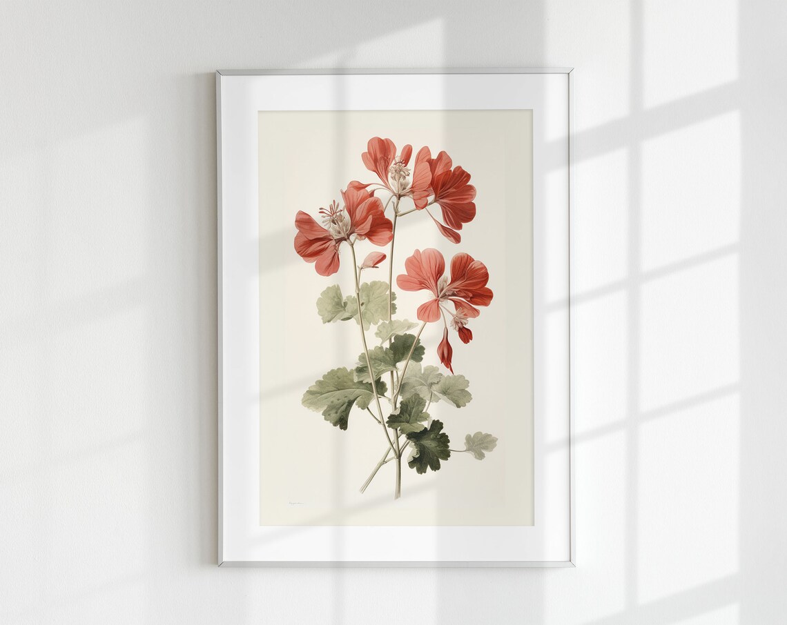 Geranium Botanical Vintage Art Print, Floral Study