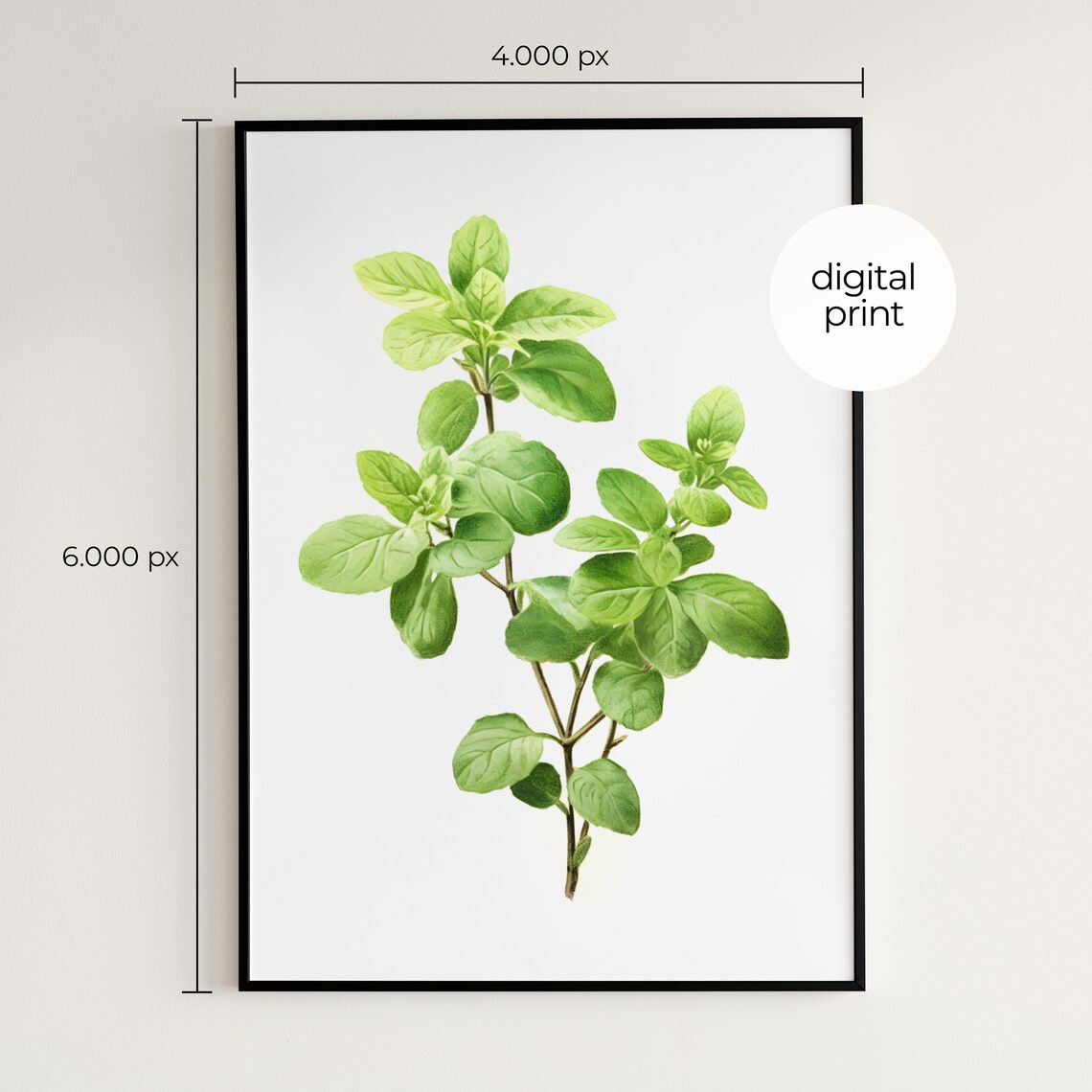 Vintage Oregano Herb Botanical Art Print - Image 2