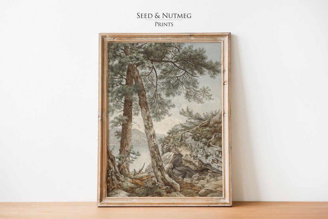 Tall Pine Trees Rocky Hillside Lake Vintage Muted Forest Poster