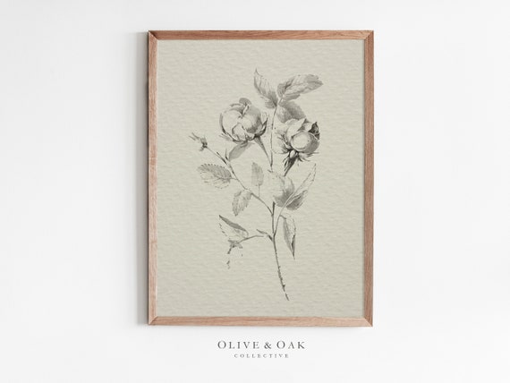 Vintage Flower Drawing Poster Print, Rustic Botanical Sketch
