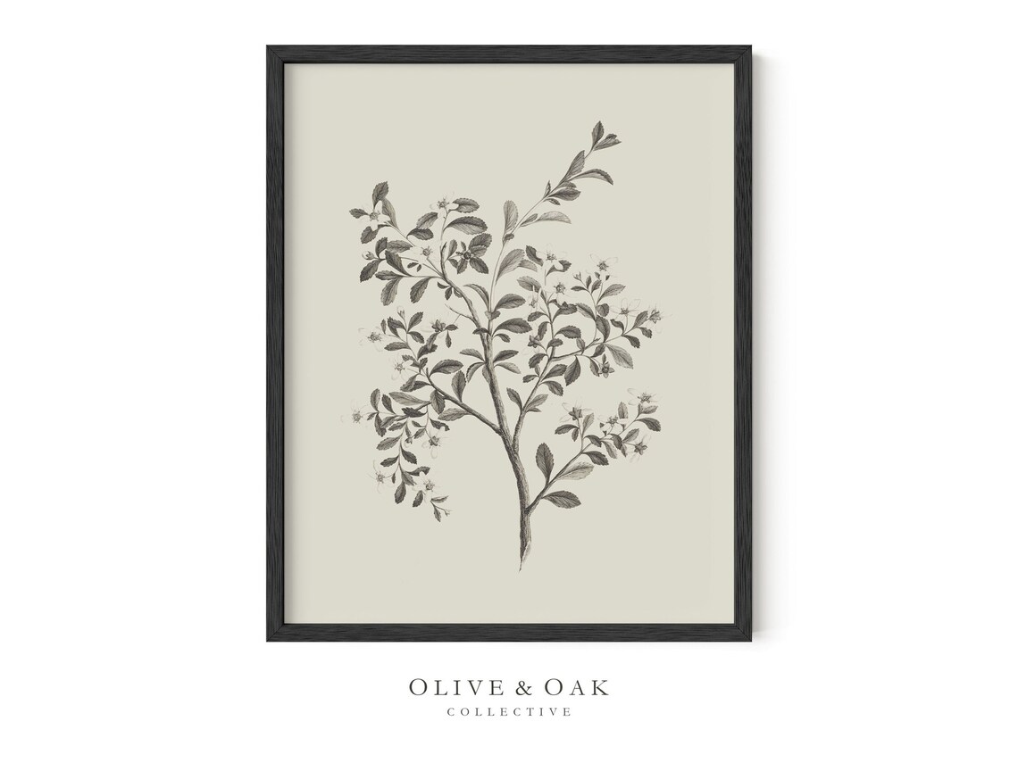 Botanical Wall Art, Simple Branch Drawing - Image 2