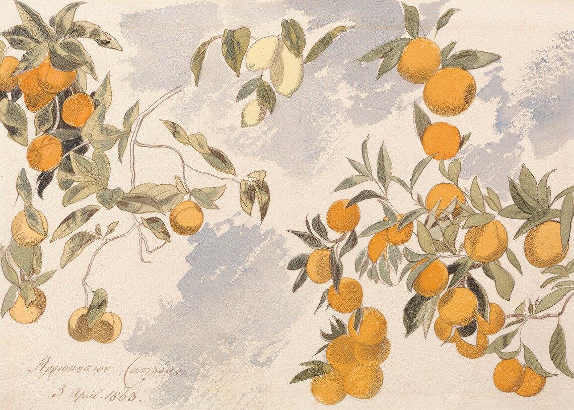 Vintage Botanical Lemon Painting, Farmhouse Kitchen Art Print - Image 4