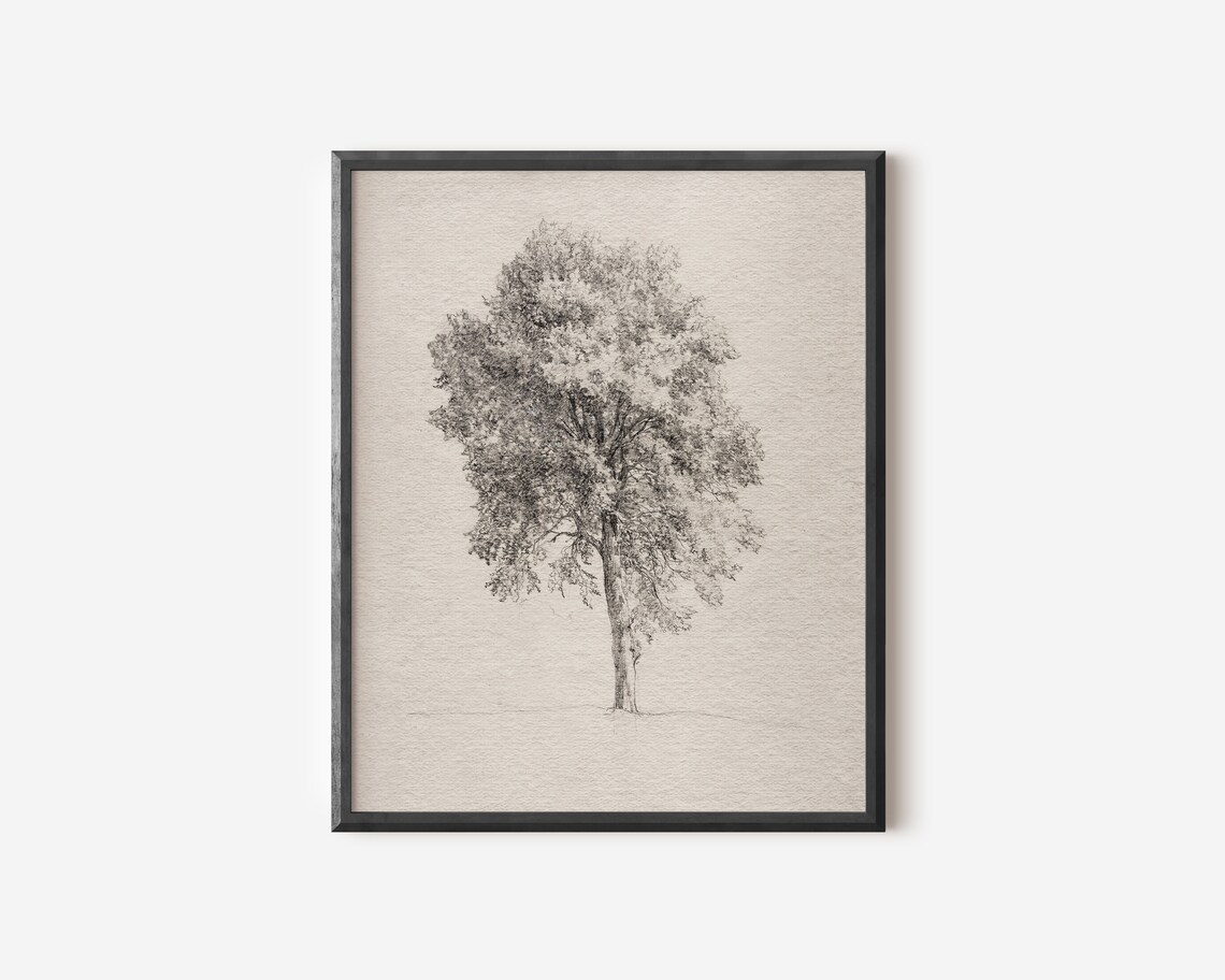 Antique Tree Drawing, Vintage Art Print - Image 2