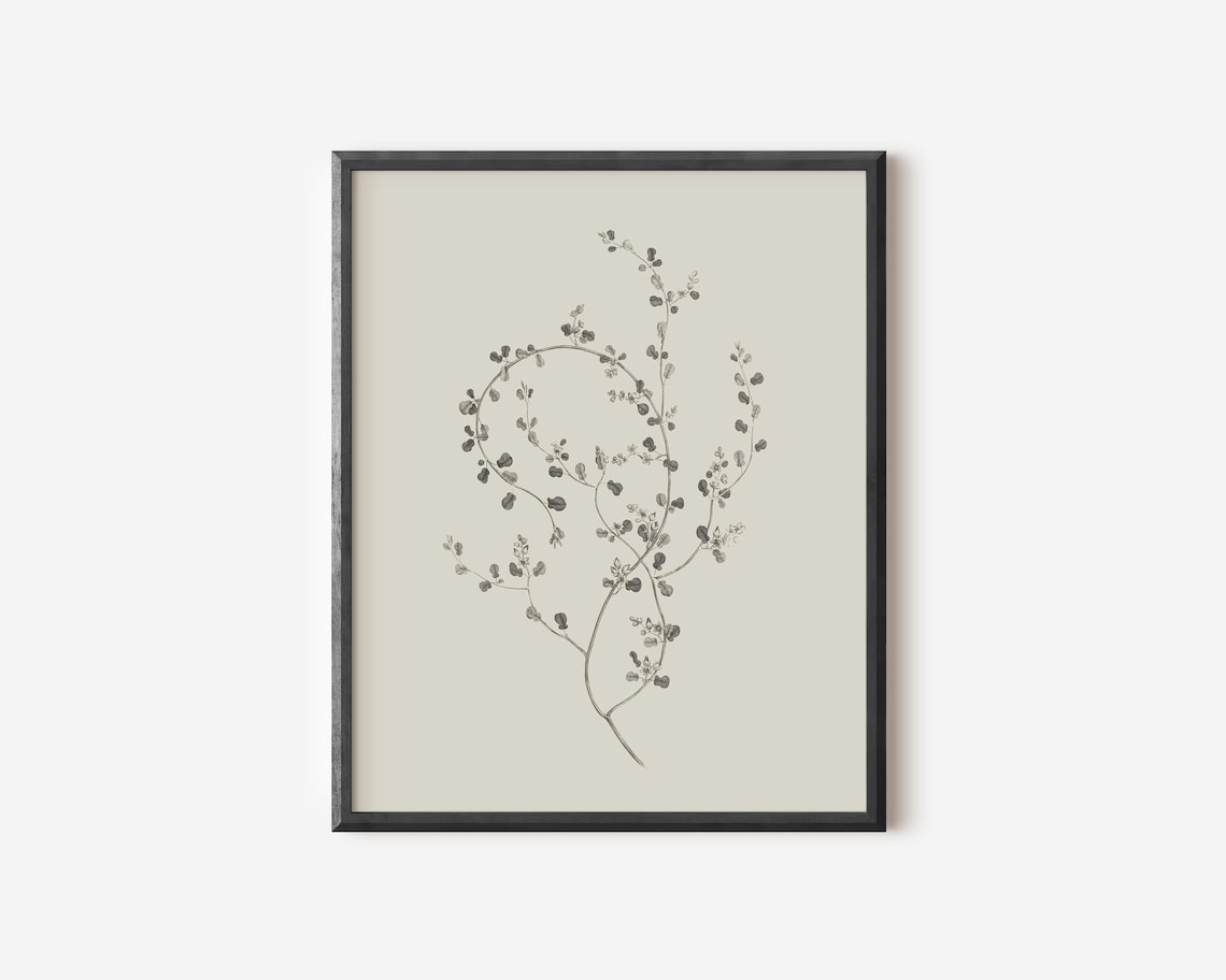 Neutral Branch Drawing Botanical Print, Simple Art - Image 4