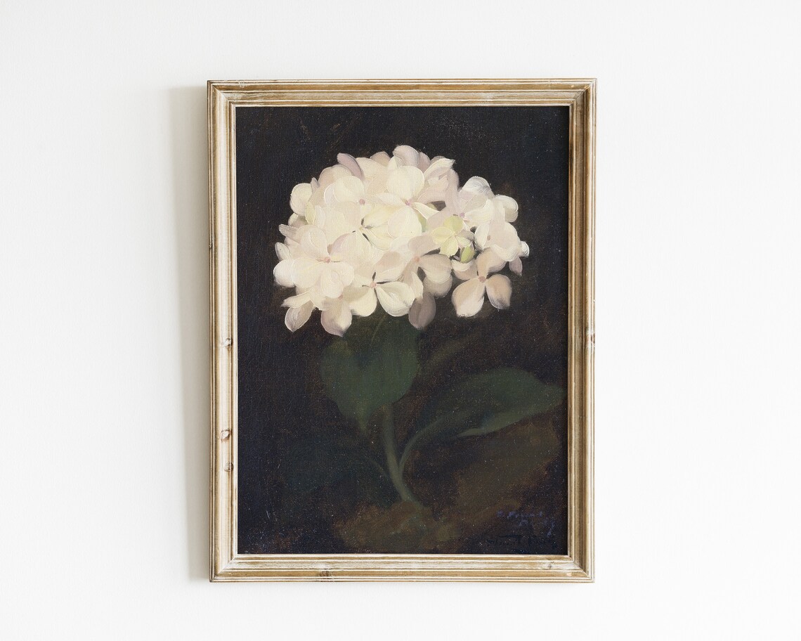 Vintage Hydrangea Botanical Flower Art Print
