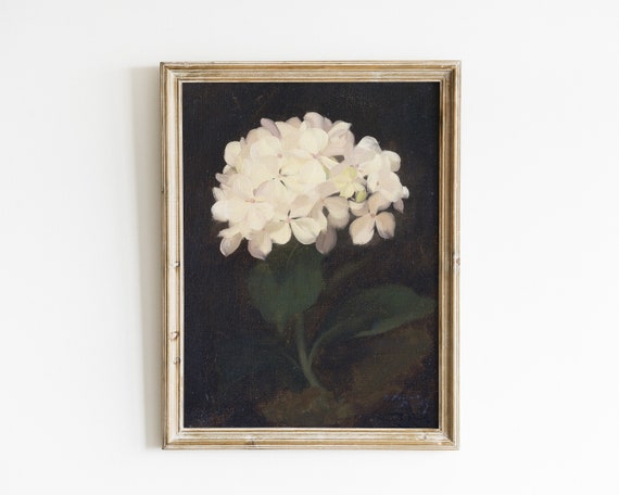 Vintage Hydrangea Botanical Flower Art Print