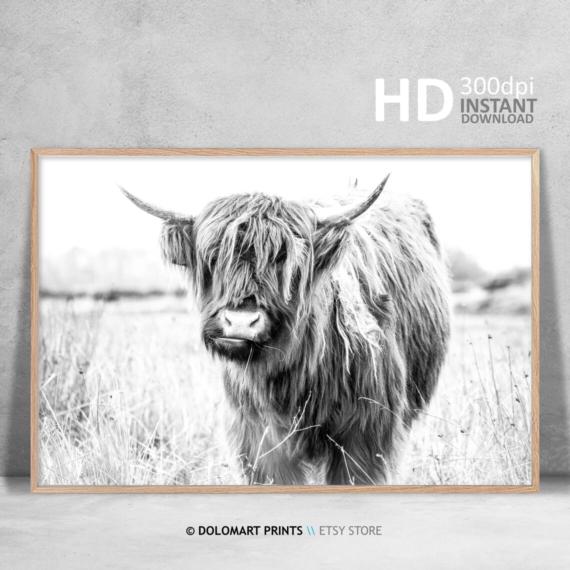 Rustic Highland Cow Black and White Animal Art Print - Image 4