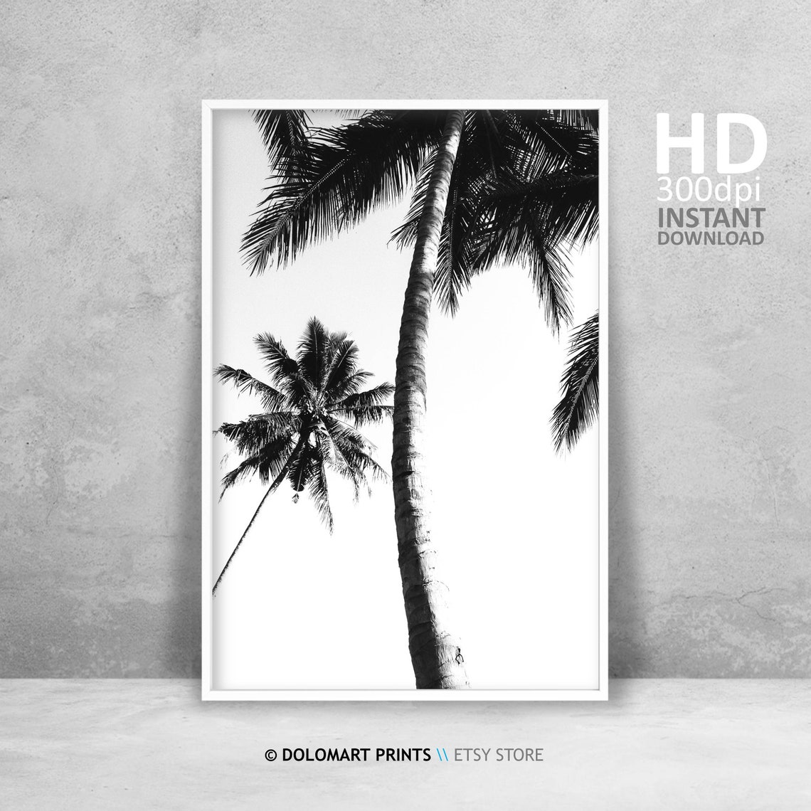 Palm Tree Print Tropical Wall Art Decor Black And White Palm Tree Photography Large Poster Beach Plant Decor