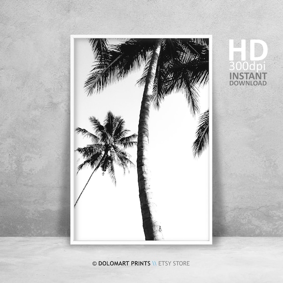 Palm Tree Print Tropical Wall Art Decor Black And White Palm Tree Photography Large Poster Beach Plant Decor