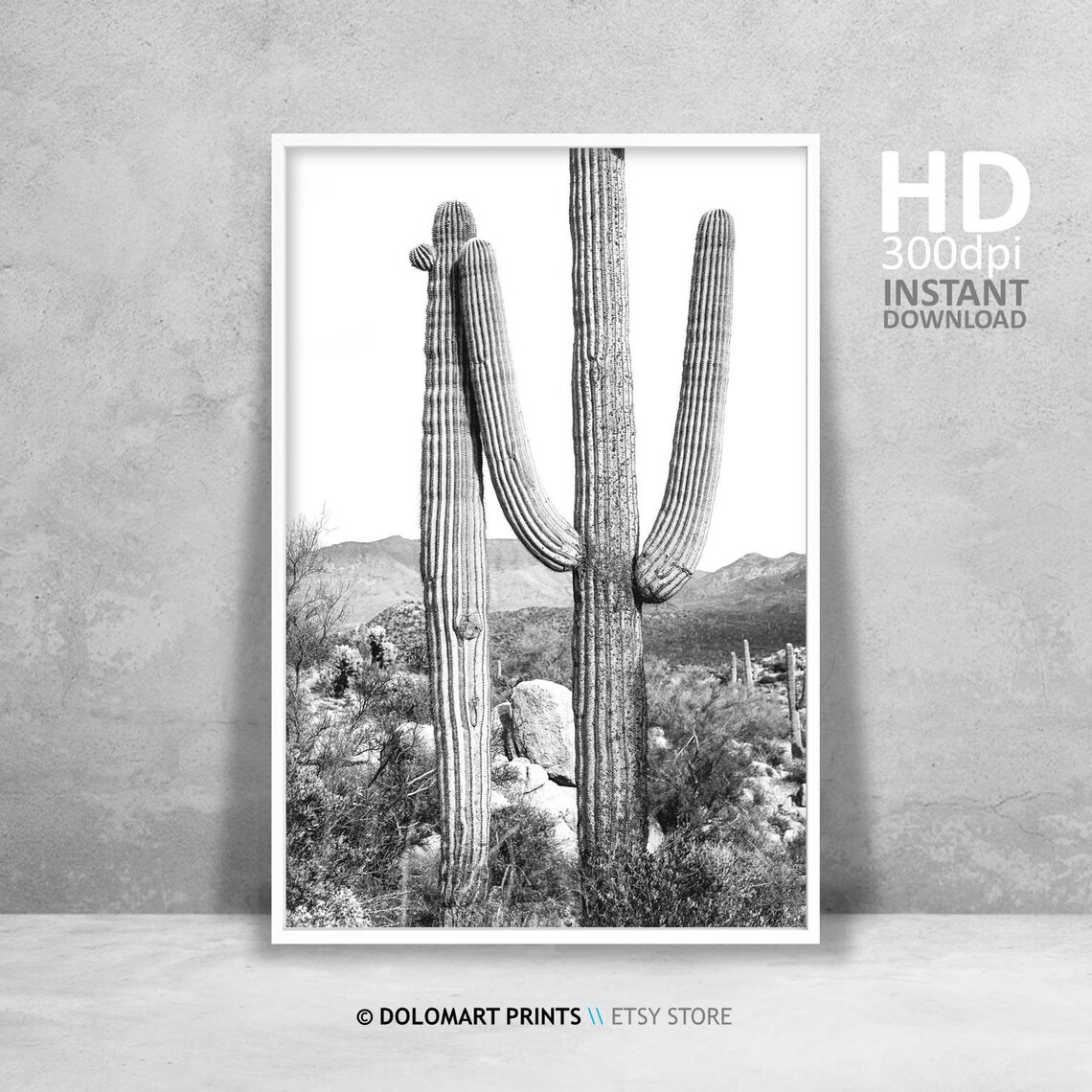 Cactus Print Black and White Farmhouse Art Print