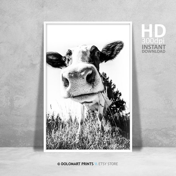 Modern Farmhouse Cow Print Nursery Art Print