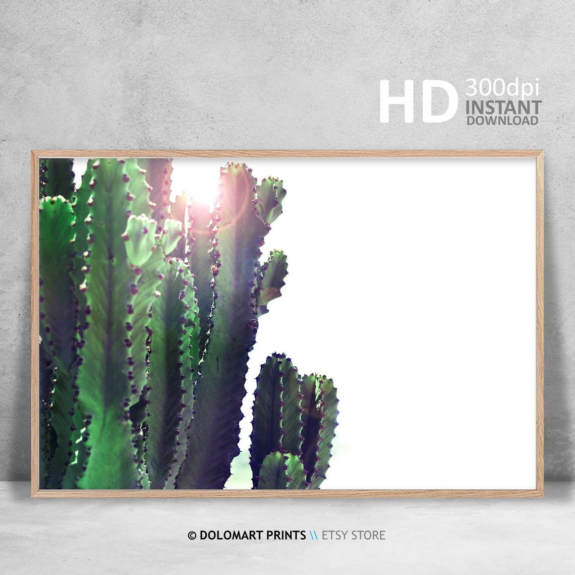 Green Cactus in Sunlight Minimalist Desert Photography Poster - Image 3