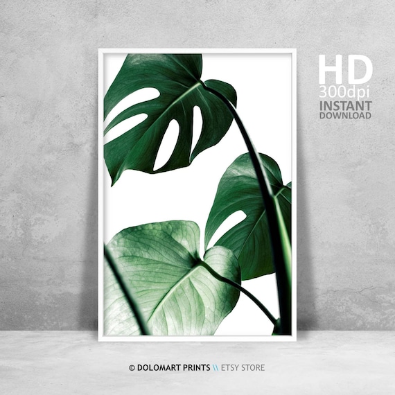 Tropical Leaf Wall Art Monstera Deliciosa Leaf Print Modern Botanical Plant Print Poster Plant Photography Minimal Room Art