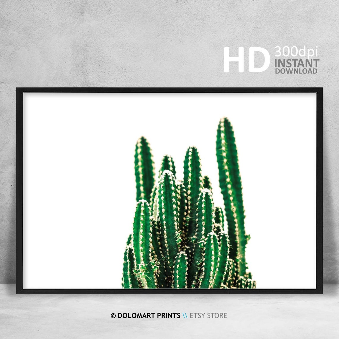 Green Cactus Cluster White Background Botanical Photo Poster - Image 4