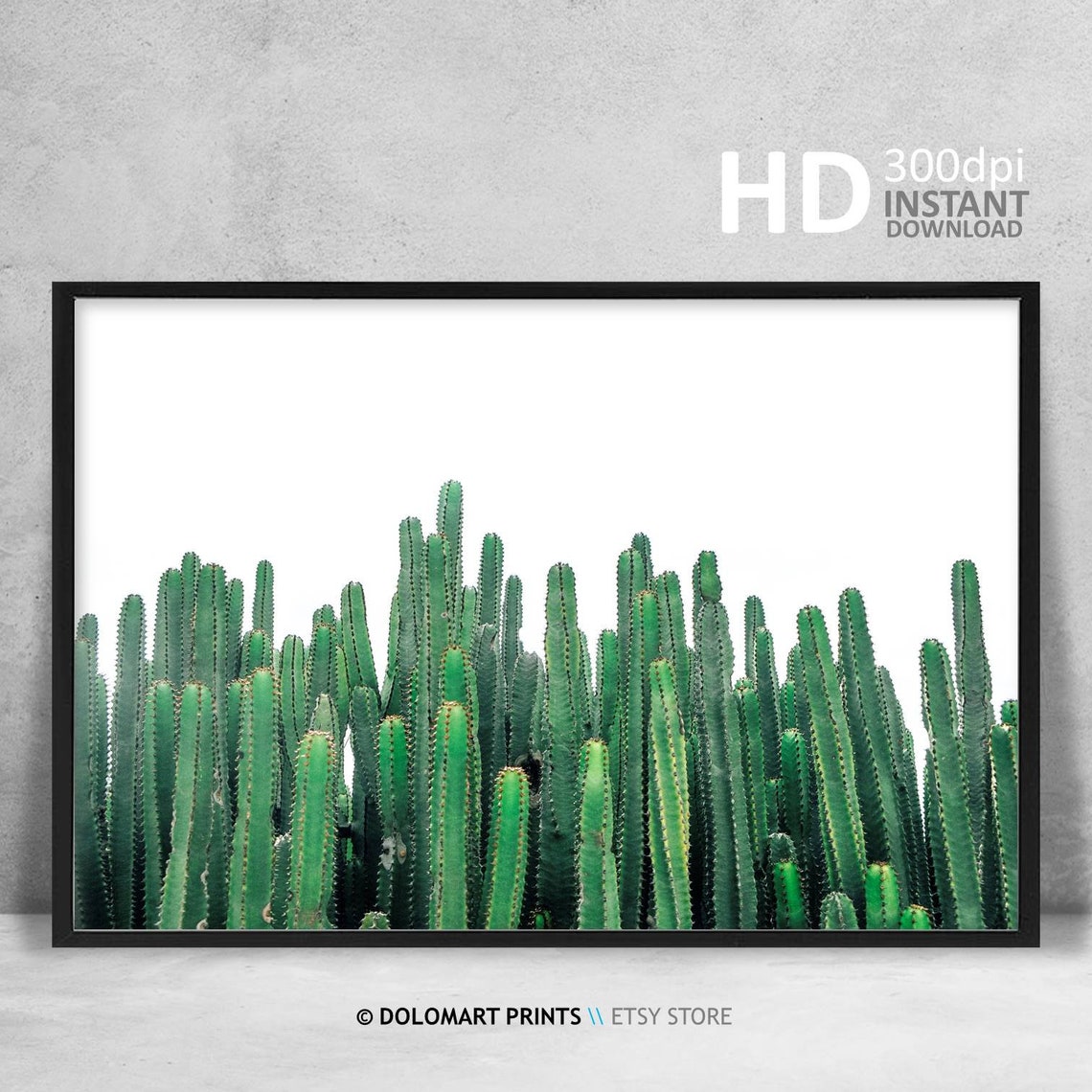 Green Cactus Columns Minimal White Background Photography Poster - Image 4