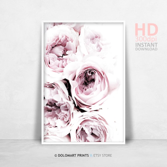 Blush Pink Peony Floral Poster, Botanical Room Decor
