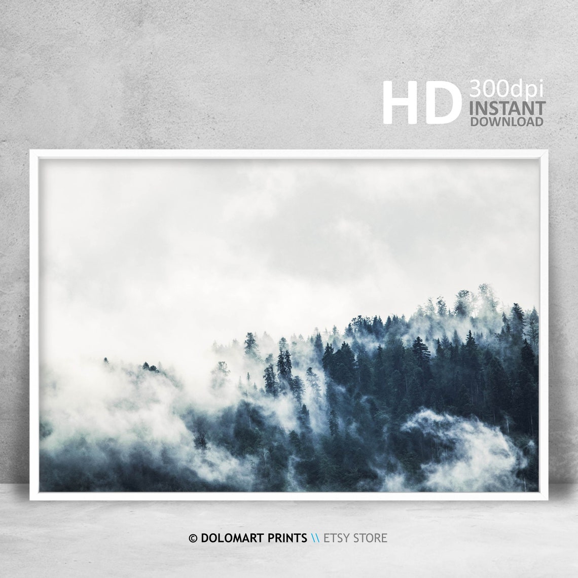 Misty Pine Forest In Fog Moody Woodland Nature Landscape Poster