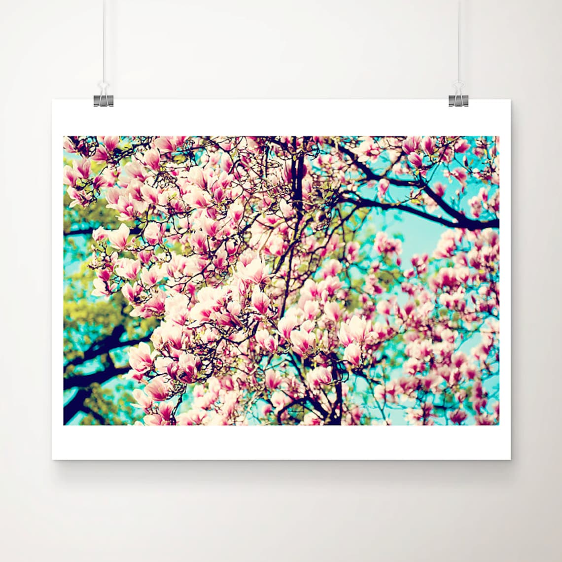 Pink Blossom Tree in Spring Photography Floral Nature Poster