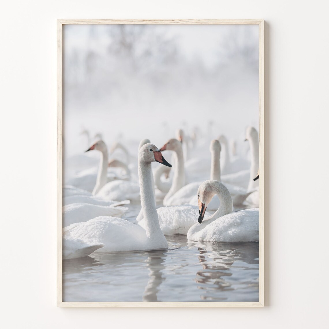 Swan Lake Colorful Poster Print Swan Lake Photo Wall Art Wall Art Boho Decor Colorful Wall Art Photography Poster Print C18 40