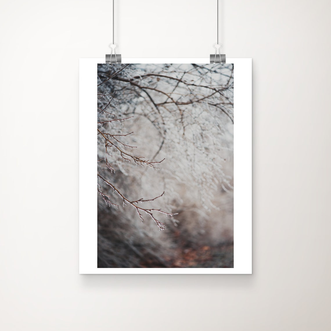 Sale Vertical Nature Photography Tree Photograph Winter Print Freezing Rain Ice Abstract Art Rustic Decor