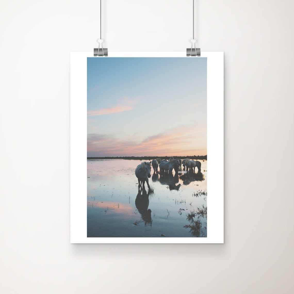 White Camargue Horses Sunset Still Water Provence Photography Poster