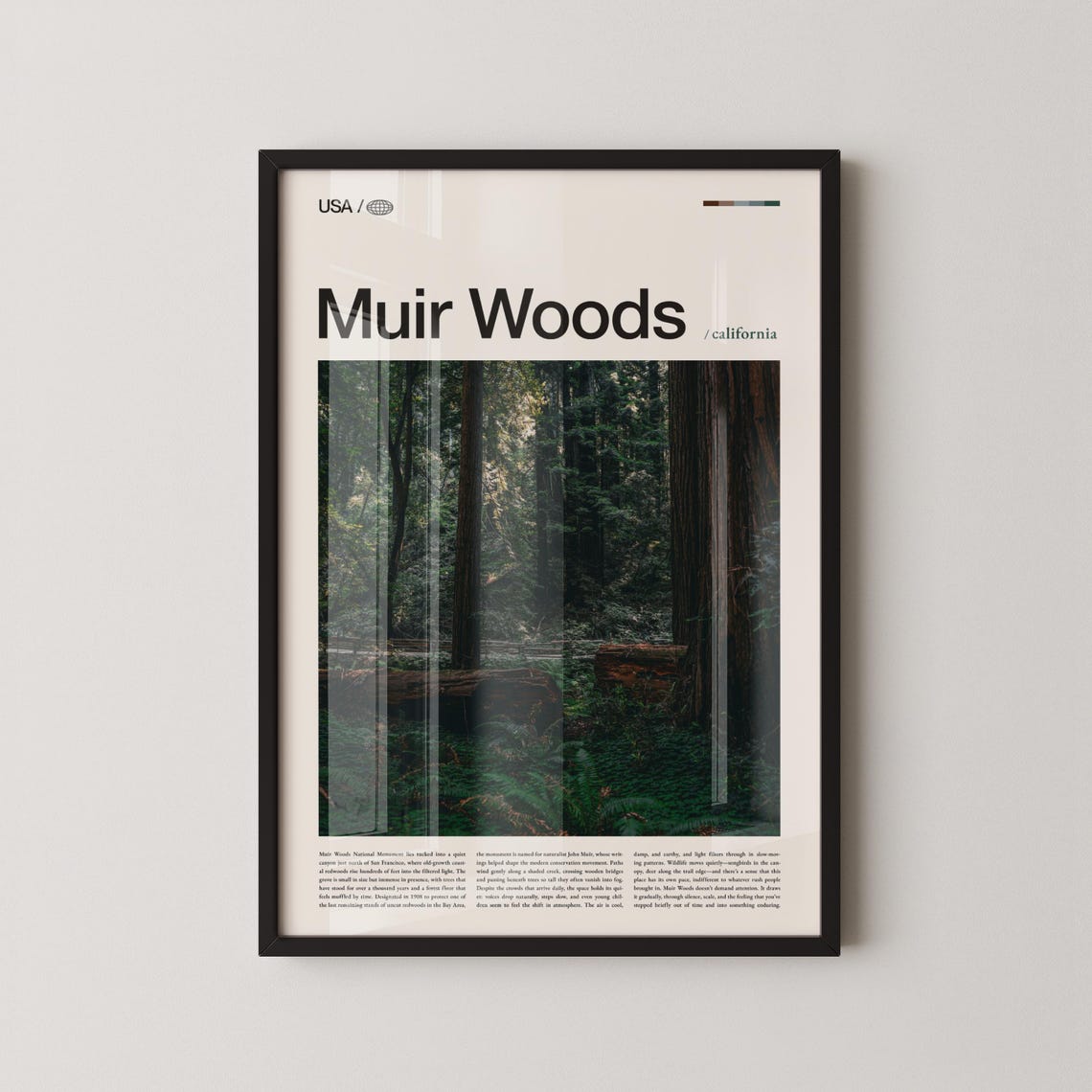 Muir Woods Print Wall Art Poster Photo National Monument Cathedral Grove