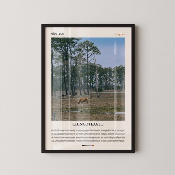 Chincoteague Virginia Wild Horse In Pine Forest Travel Poster