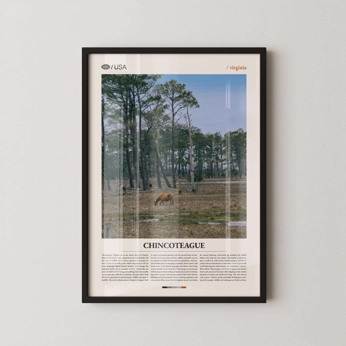 Chincoteague Virginia Wild Horse In Pine Forest Travel Poster