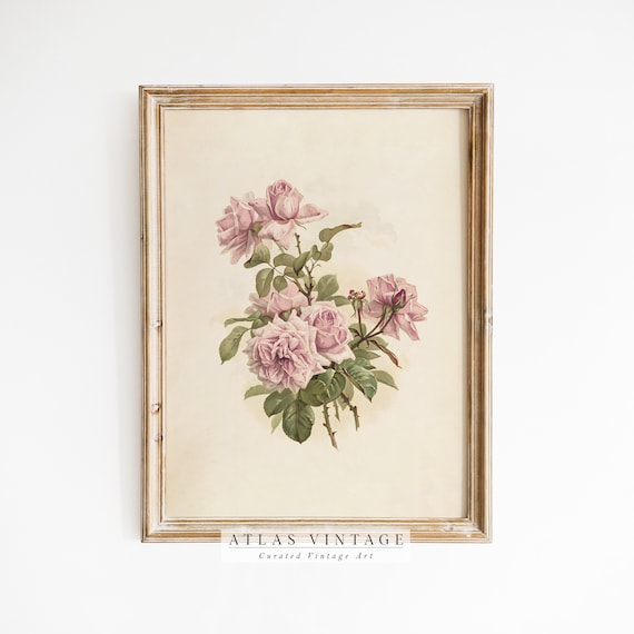 Antique Pink Rose Watercolor Bouquet Print Vintage Botanical Flower Art