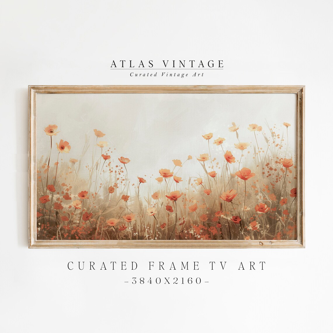 Coral Poppy Wildflower Field Frame TV Art Warm Sunset Spring Meadow Poster