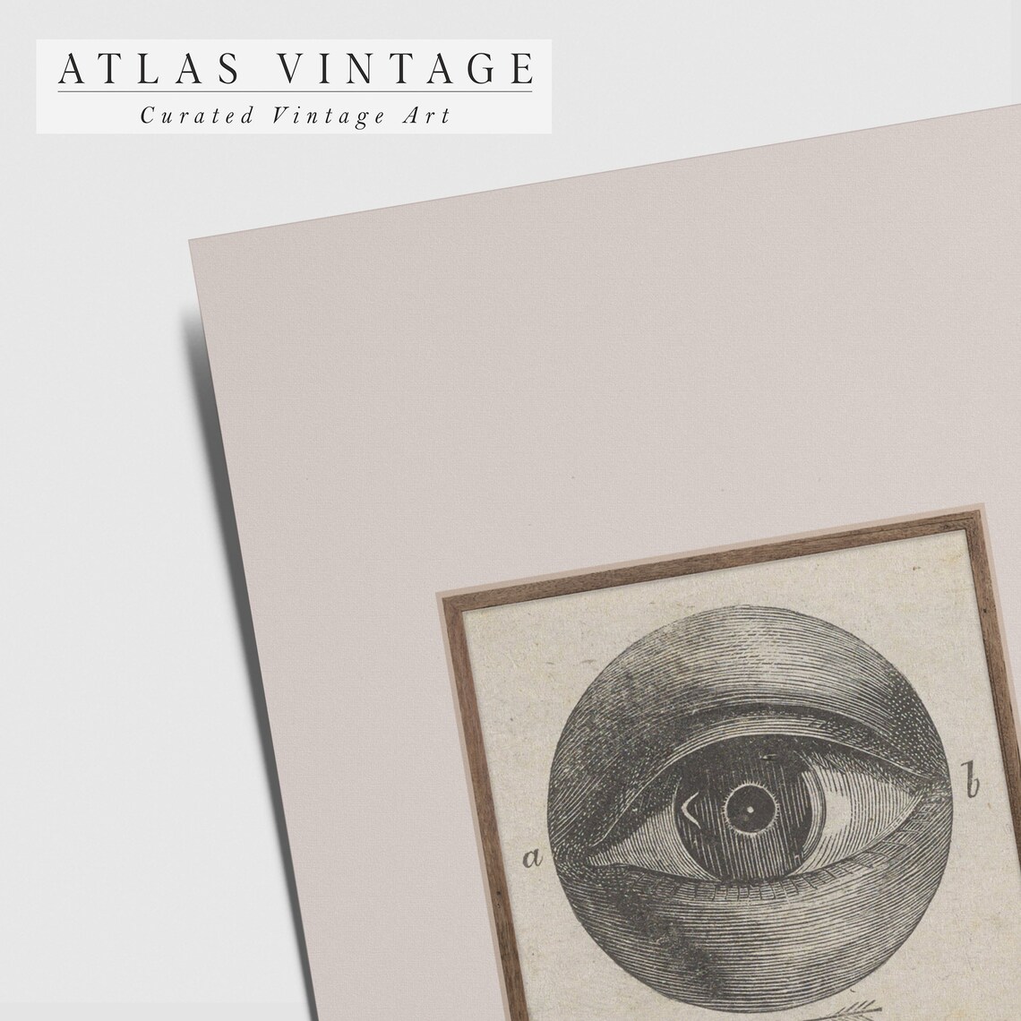 Antique Eye Anatomy Engraving Vintage Eyeball Medical Art Poster - Image 3