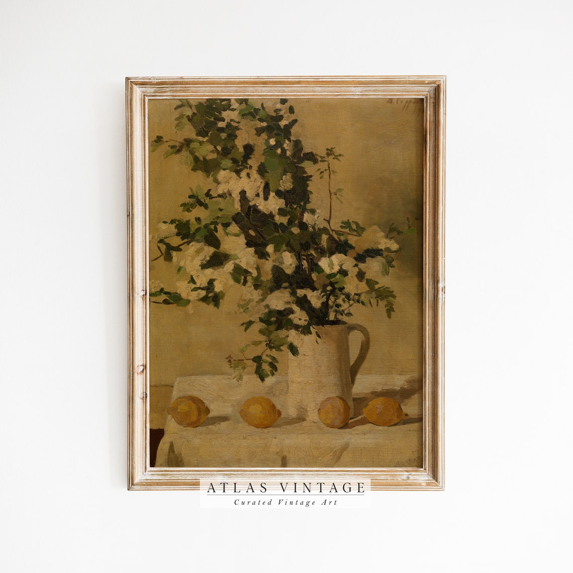 White Blossoms in Pitcher With Lemons Antique Still Life Poster