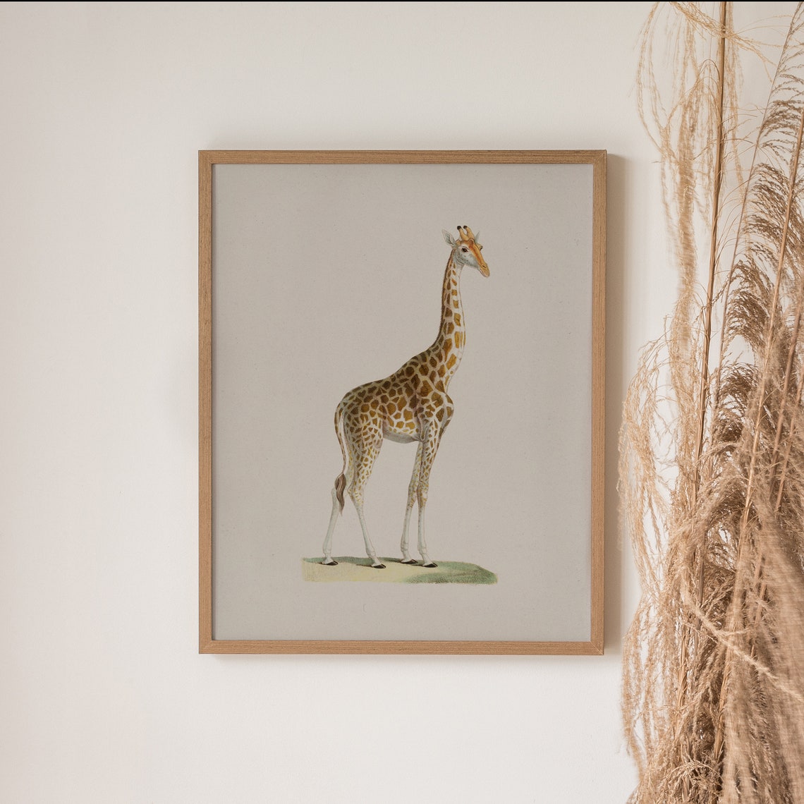 Vintage Giraffe Standing Portrait Natural History Illustration Poster - Image 4