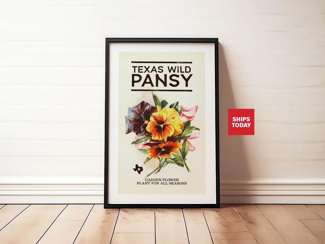 Texas Wild Pansy Vintage Botanical Garden Flower Wall Poster Art