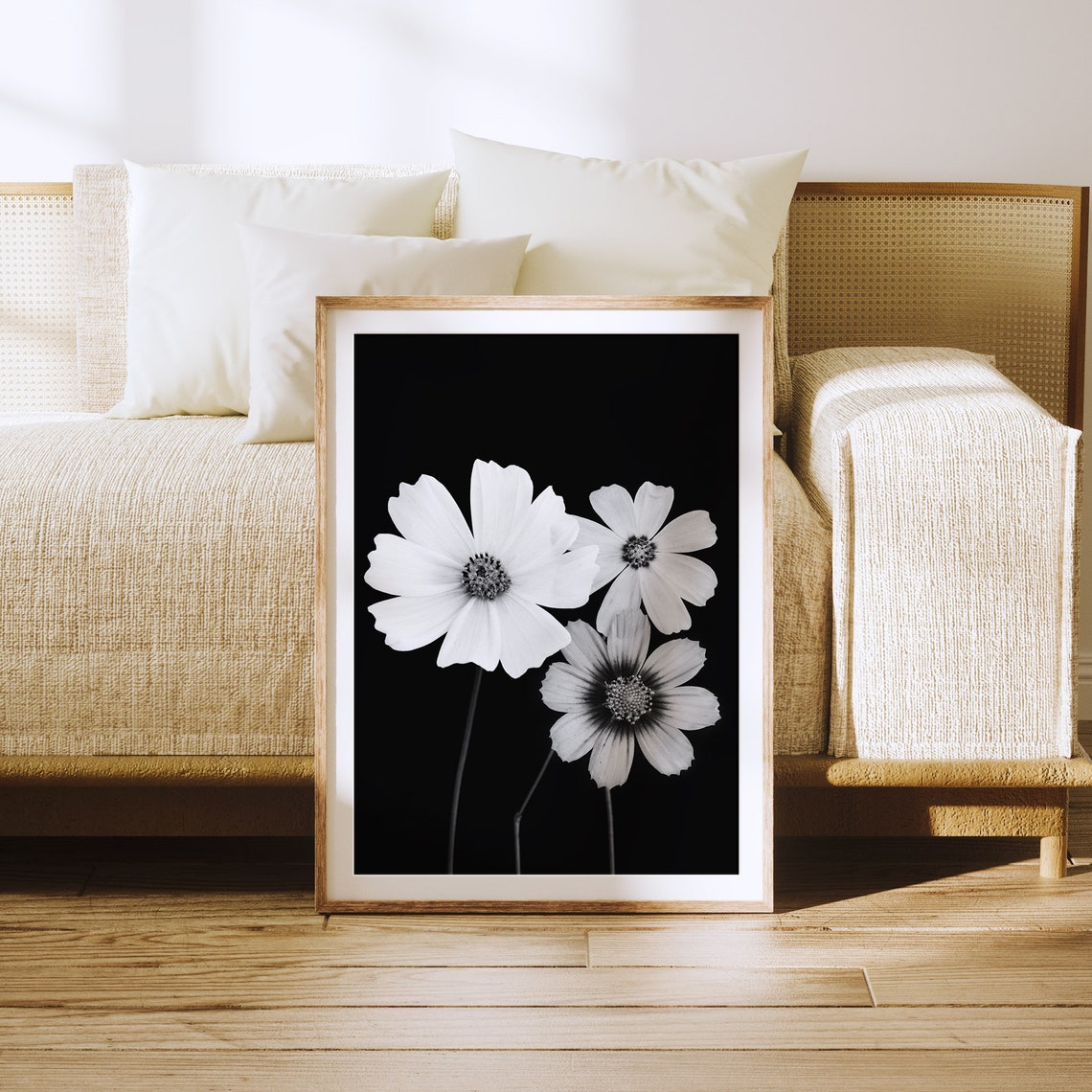Black And White Cosmos Flowers Dramatic Botanical Photography Wall Art - Image 3