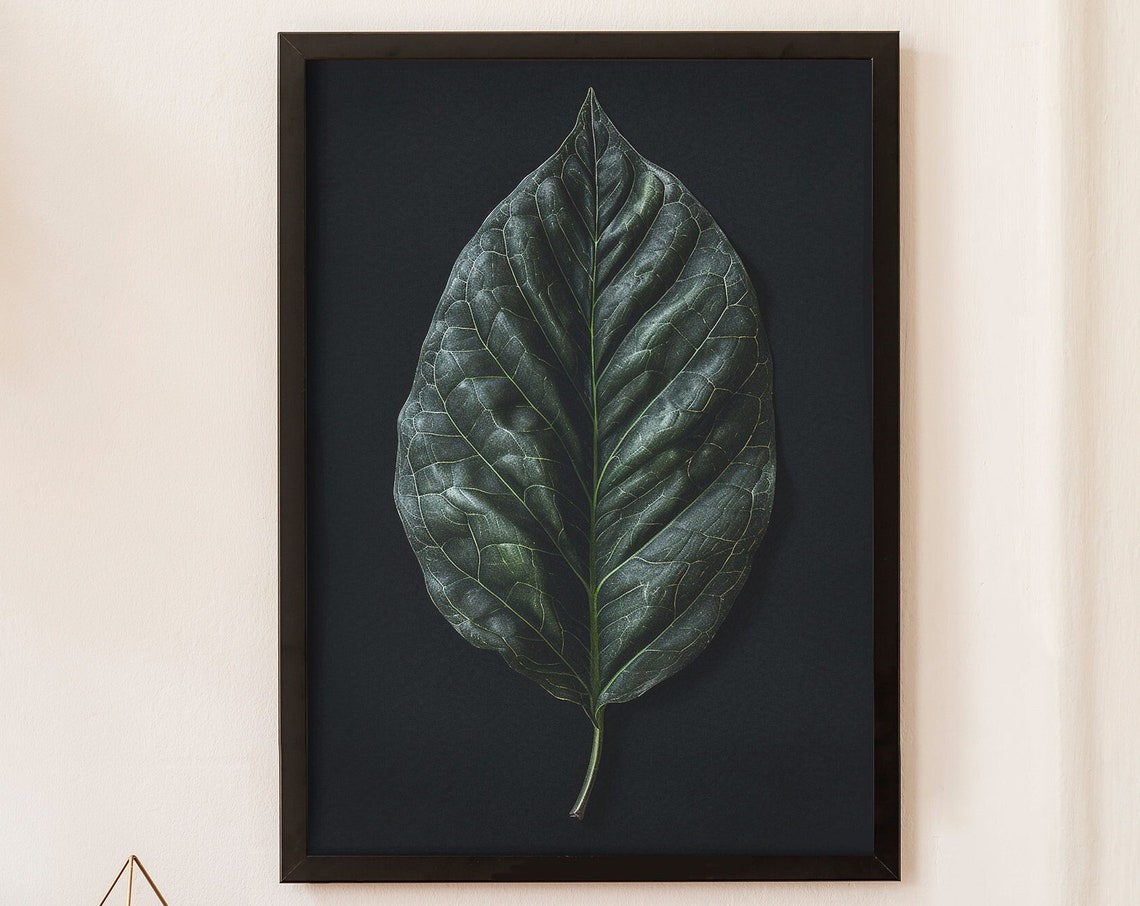 Basil Leaf Ink Drawing Dark Botanical Minimalist Nature Poster