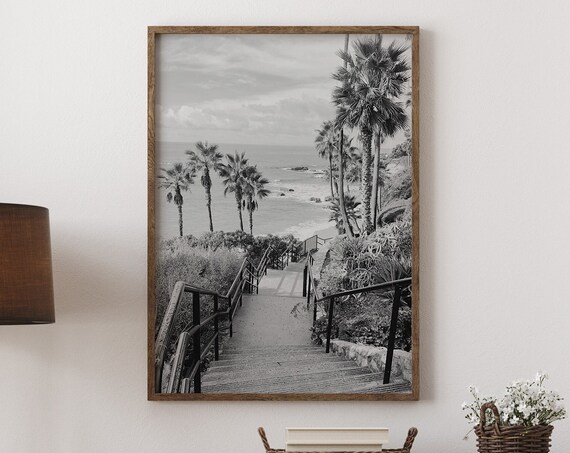 Laguna Beach Black White Ocean Stairs Palm Trees Photo Poster