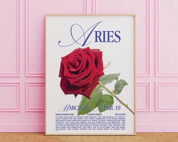 Aries Zodiac Sign Red Rose Retro Astrology Star Sign Personality Poster