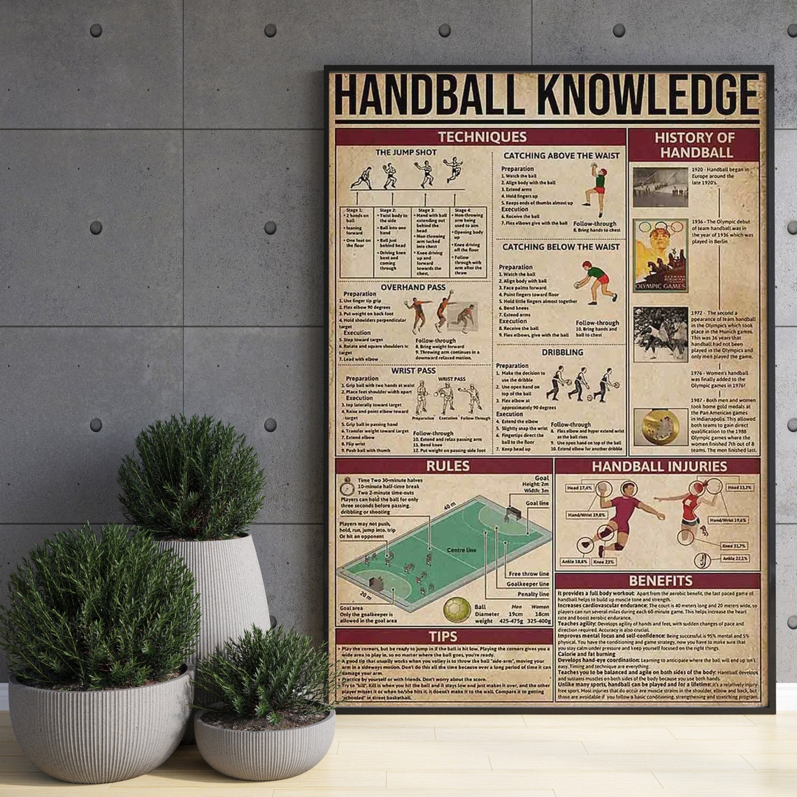 Handball Knowledge Techniques History Rules Injuries Chart Poster - Image 3