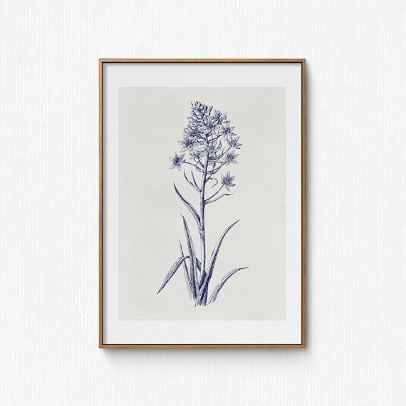 Antique Neutral Flower Sketch Vintage Botanical Art Print