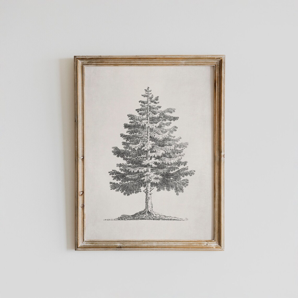 Vintage Pine Tree Christmas Tree Sketch Art Print - Image 3