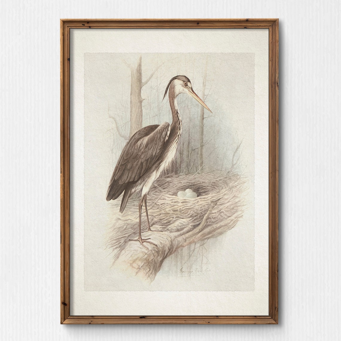 Vintage Great Blue Heron at Nest with Eggs Bird Illustration Poster - Image 3